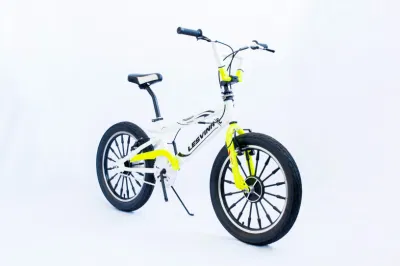 중국 도매 20인치 BMX 자전거 V